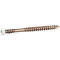 SOCKELSKRUV TX10 VITLACKERAD 3,9X57 250ST