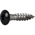 RÄNNKROKSKRUV ROSTFRI A2 SVART RAL9011 TX20 4,8X25 250ST