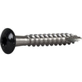 RÄNNKROKSKRUV ROSTFRI A2 SVART RAL9011 TX20 4,8X35 250ST