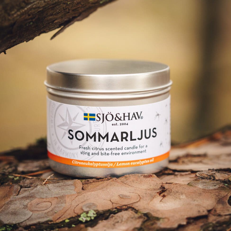 Sommarljus